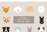 [셔터뉴스] 반려동물 보험 '홍수'시대…상품 한눈에 보기