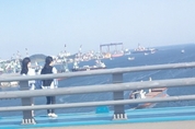 울산대교 투신 기도 모녀