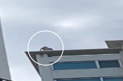 거제 살해 용의자 19층서 추락사