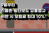 9월부터 스쿨존·횡단보도 교통법규 위반 시 보험료 최대 10↑