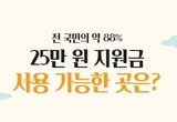 전 국민 약 88 '25만 원 지원금' 사용 가능한 곳은?