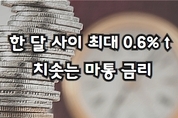 한 달 사이 최대 0.6↑치솟는 마통 금리