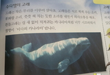 대문호 만든 고래…그리고 거친 바다 같던 제목