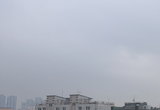 비는 오지 않았지만… 변함없는 그들의 수채화