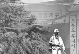 8m 길이와 88년 역사… 장성했으나 더 이상 볼 수 없는 그곳