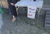 신한카드 모집인이 카드 대신 영업한다는 이것