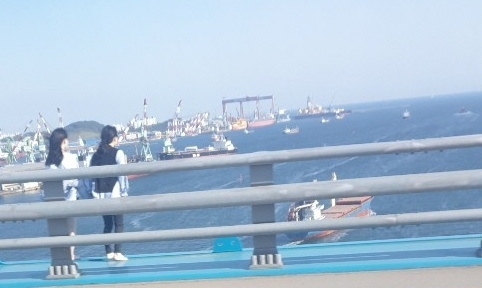 (출처 : 온라인 커뮤니티 캡처)