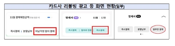 (출처: 금융감독원)