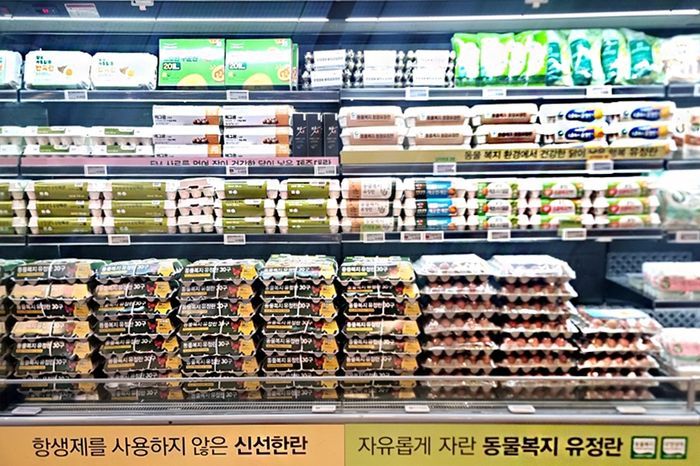 (출처: 이마트킴스클럽)