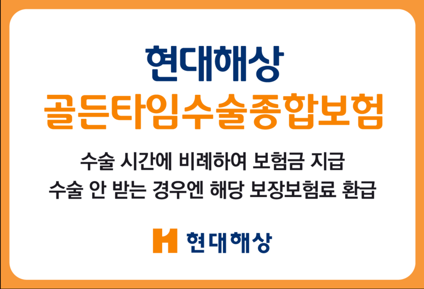 (출처: 현대해상)