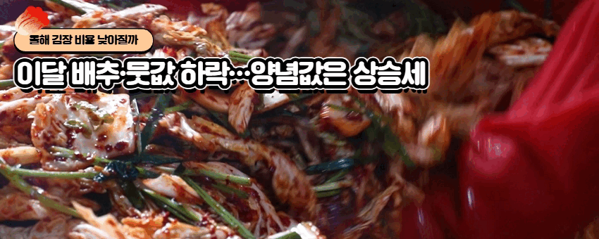 배너