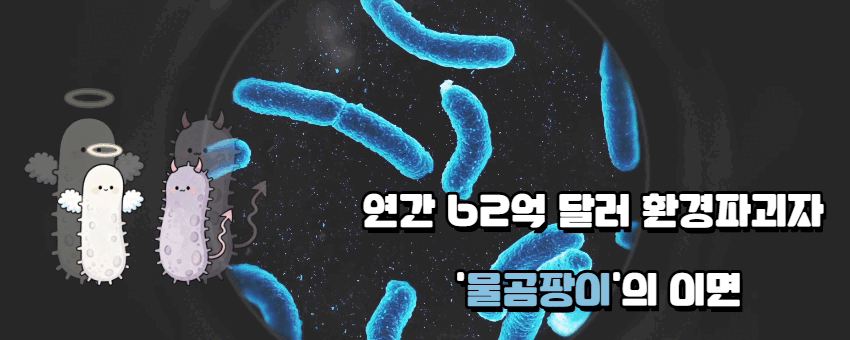 배너