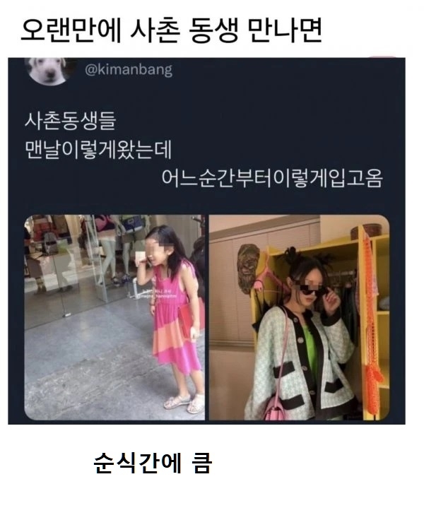 명절에 사촌동생 급공감 | 인스티즈