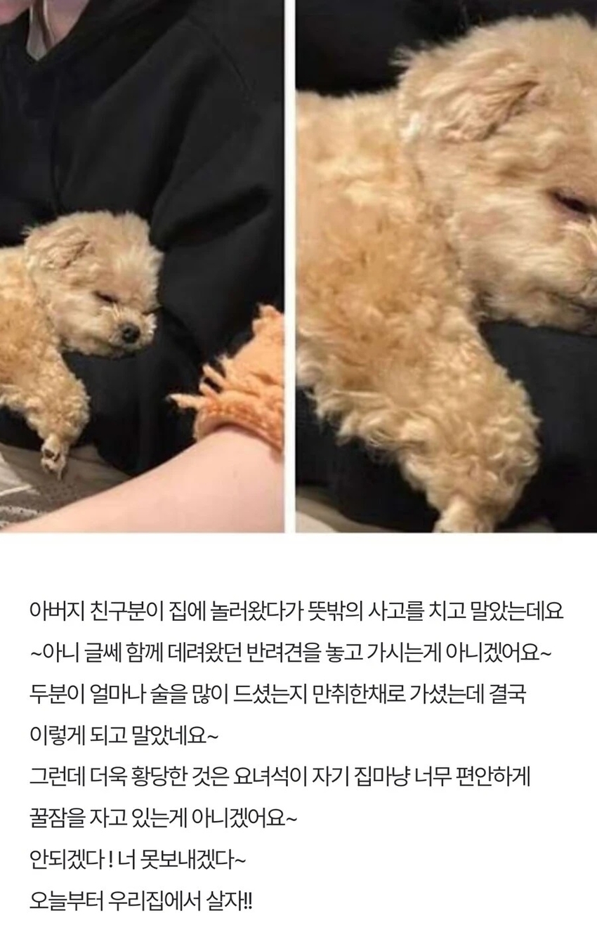 술 취해서 강아지 두고 간 아버지 친구 | 인스티즈