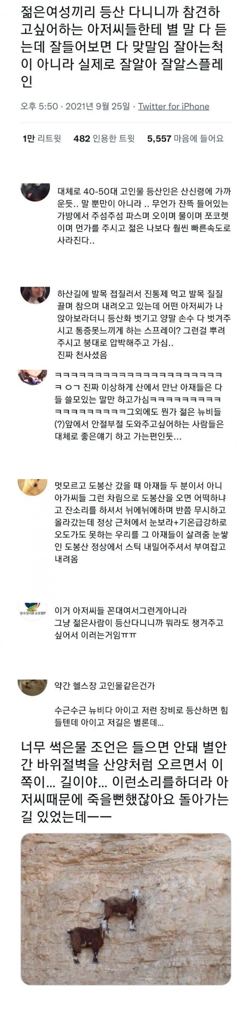 뉴비에게 친절한 등산 고인물들 | 인스티즈