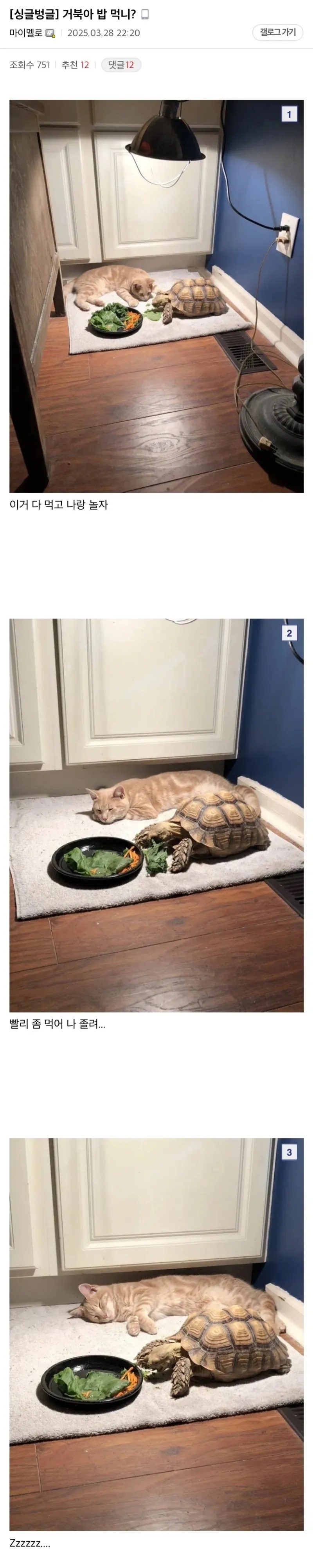 거북아 밥 먹니? | 인스티즈