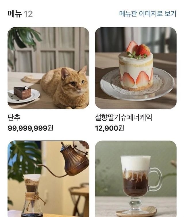 고양이 자랑하는 카페 주인 | 인스티즈