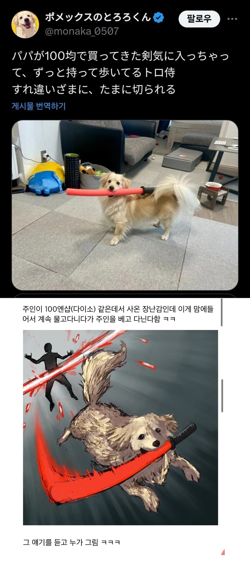 장난감 칼이 맘에 들었던 댕댕이 | 인스티즈