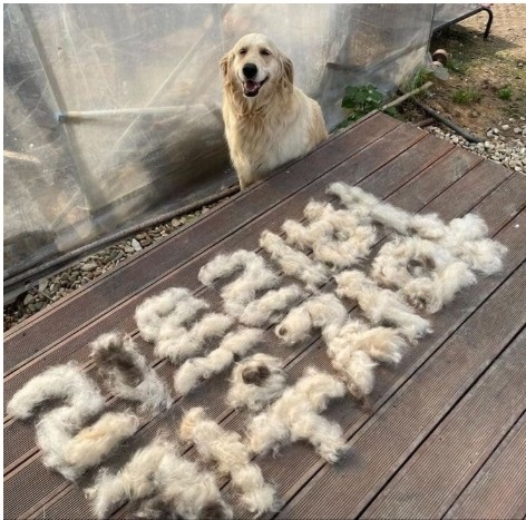 어느 견주의 경고문 | 인스티즈