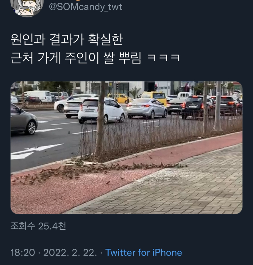 참새들이 왜 이렇게 뭉쳐있나 했더니 | 인스티즈