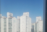 흐린 창문 사이로 파랗게 질려버린 그 종목