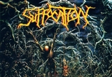 [악덕지주 무작위 앨범 소개] Suffocation 'Pierced from Within'