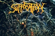 [악덕지주 무작위 앨범 소개] Suffocation 'Pierced from Within'