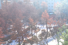 [짜사이] 시야를 가리는 눈부신 하얀 어둠